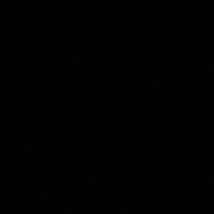 Meet your Posher, Carter